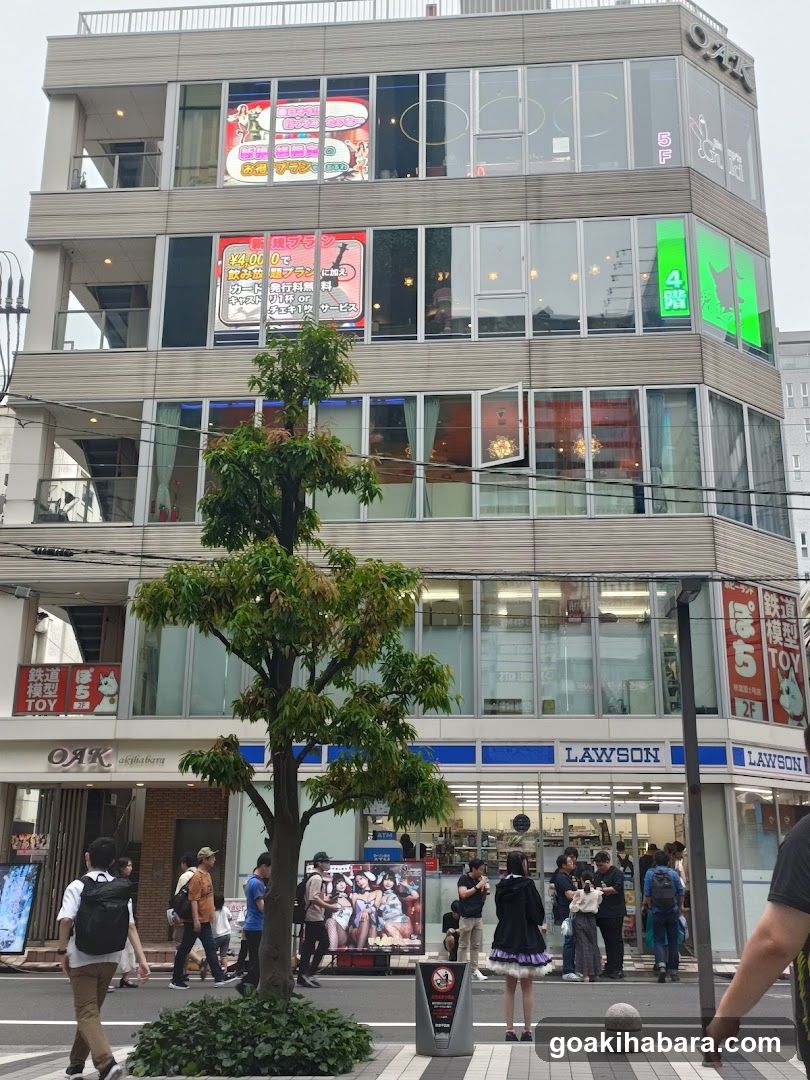 Hobby Land Pochi Akihabara 1 shop