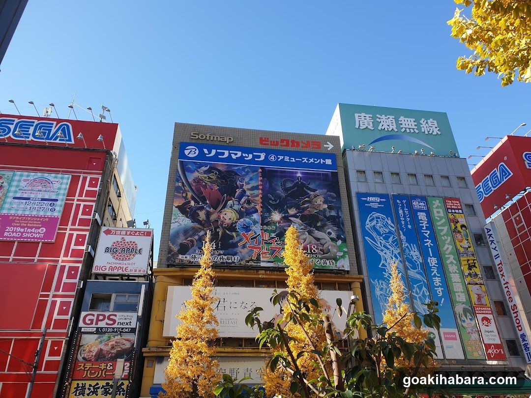 Akibaoo 8