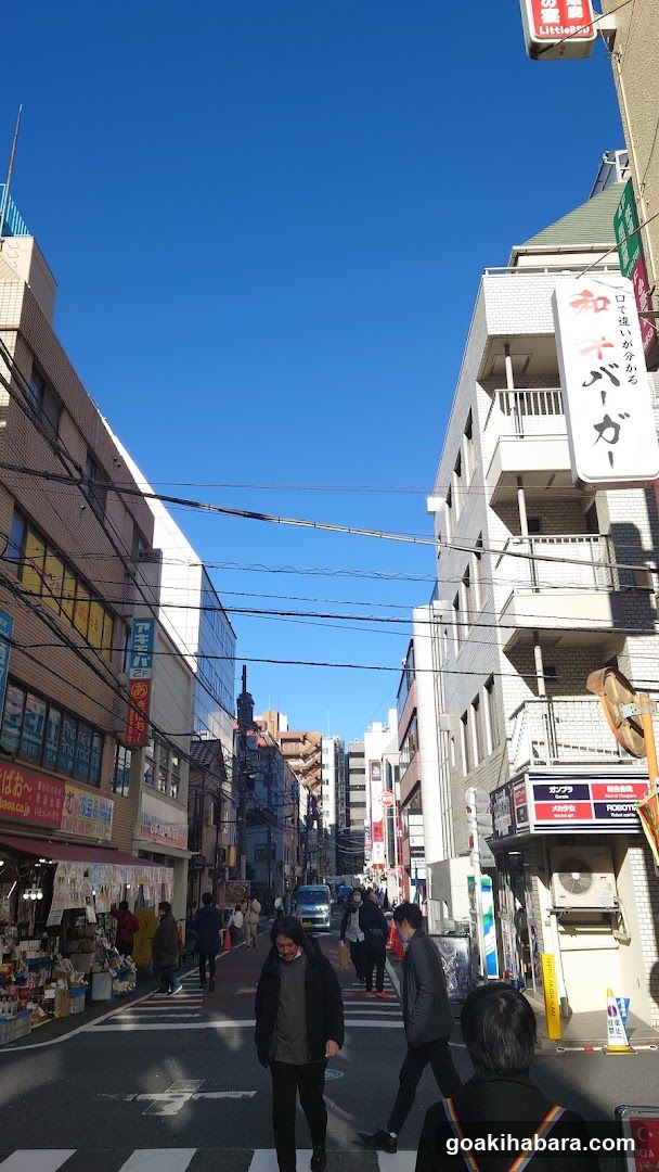 Akibaoo 8