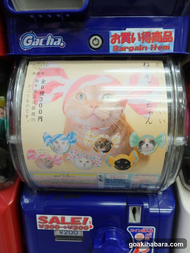 Gacha Gacha Shop Akihabara Store (Capsule Toy Specialty Store)