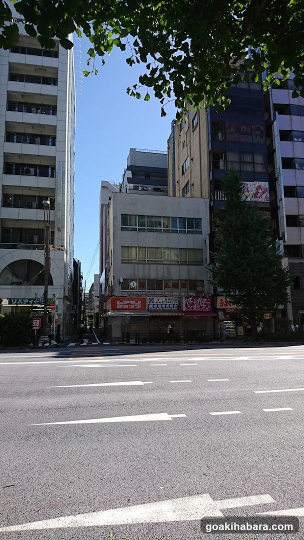 Gacha Gacha Shop Akihabara Store (Capsule Toy Specialty Store)