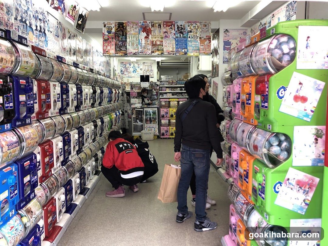 Gacha Gacha Shop Akihabara Store (Capsule Toy Specialty Store)