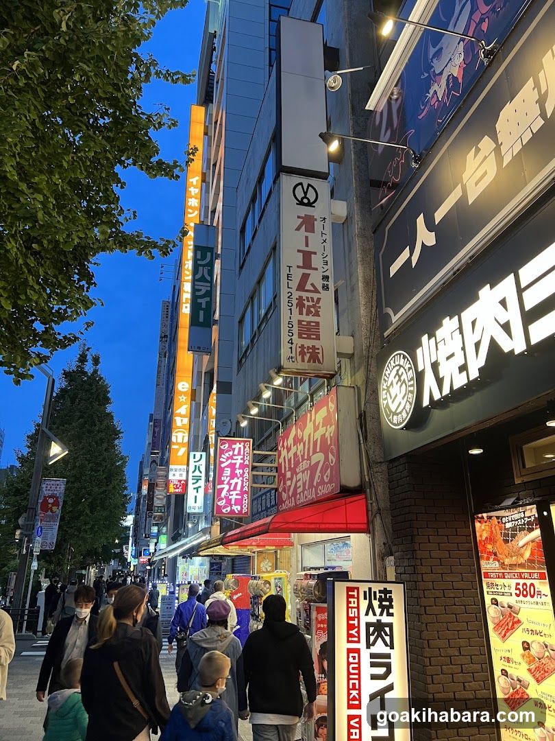 Gacha Gacha Shop Akihabara Store (Capsule Toy Specialty Store)