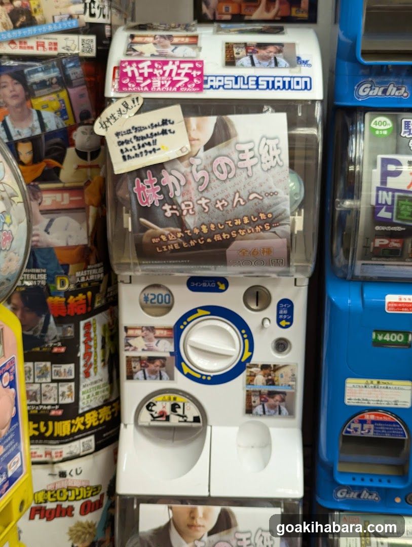 Gacha Gacha Shop Akihabara Store (Capsule Toy Specialty Store)