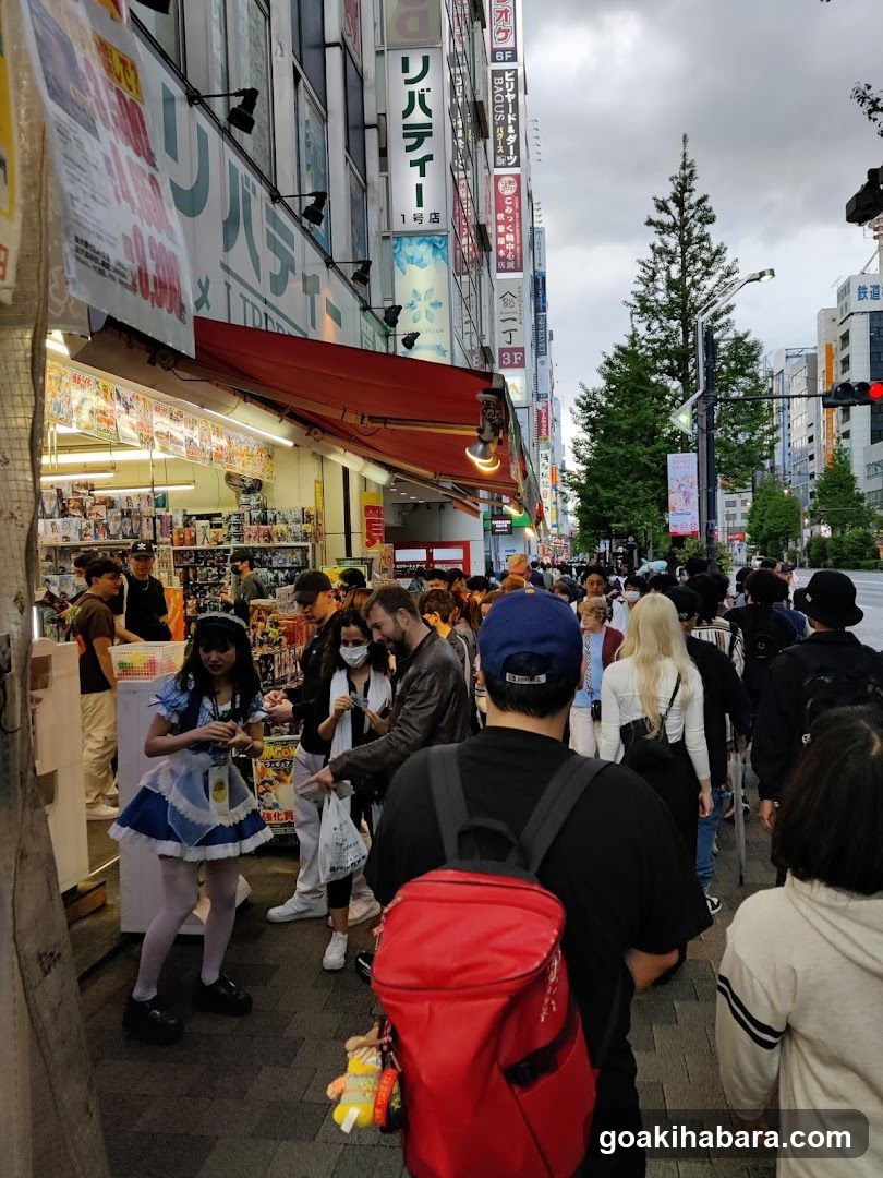 Gacha Gacha Shop Akihabara Store (Capsule Toy Specialty Store)