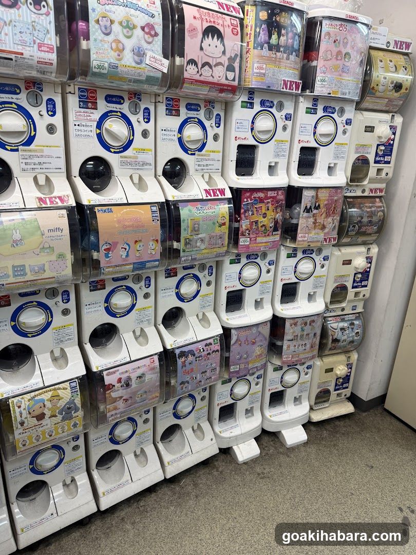 Gacha Gacha Shop Akihabara Store (Capsule Toy Specialty Store)