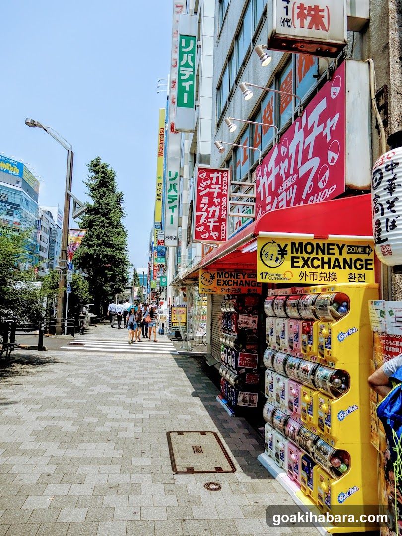 Gacha Gacha Shop Akihabara Store (Capsule Toy Specialty Store)
