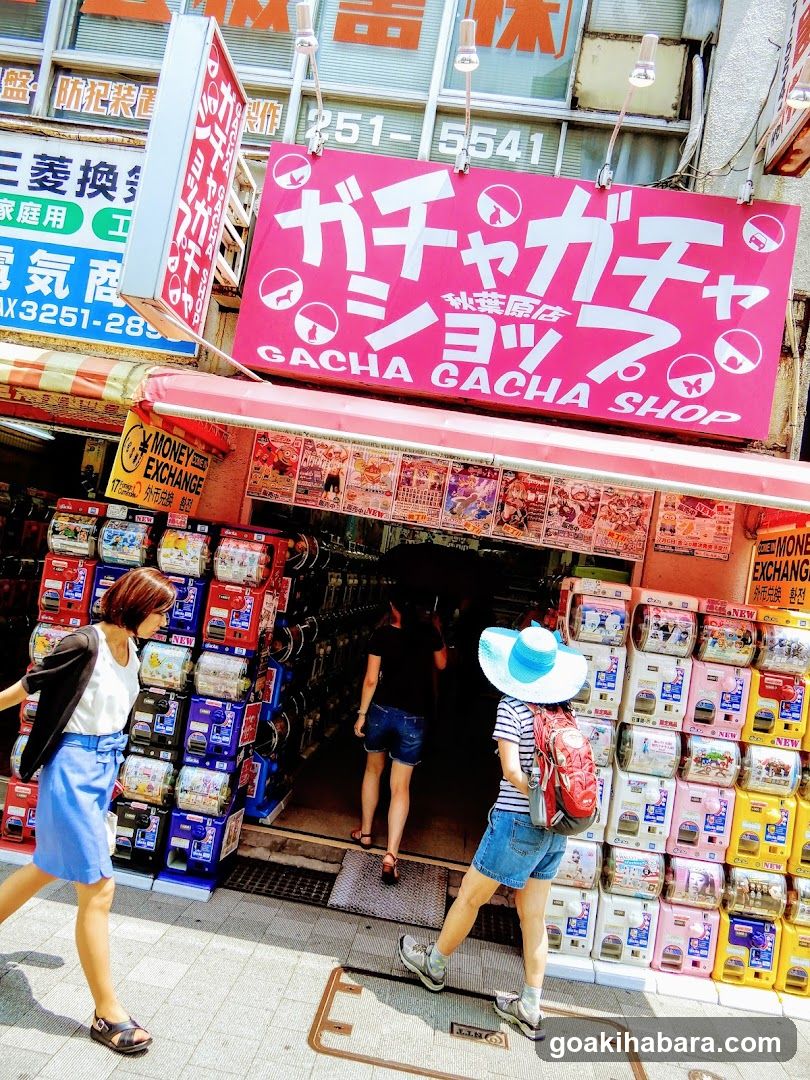 Gacha Gacha Shop Akihabara Store (Capsule Toy Specialty Store)