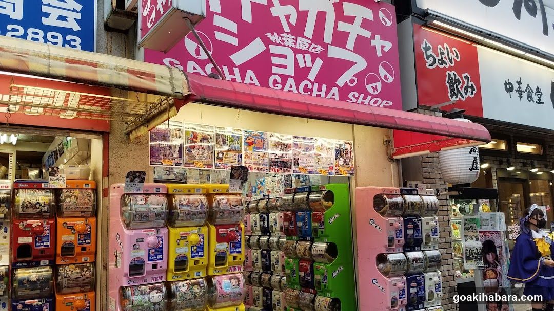 Gacha Gacha Shop Akihabara Store (Capsule Toy Specialty Store)