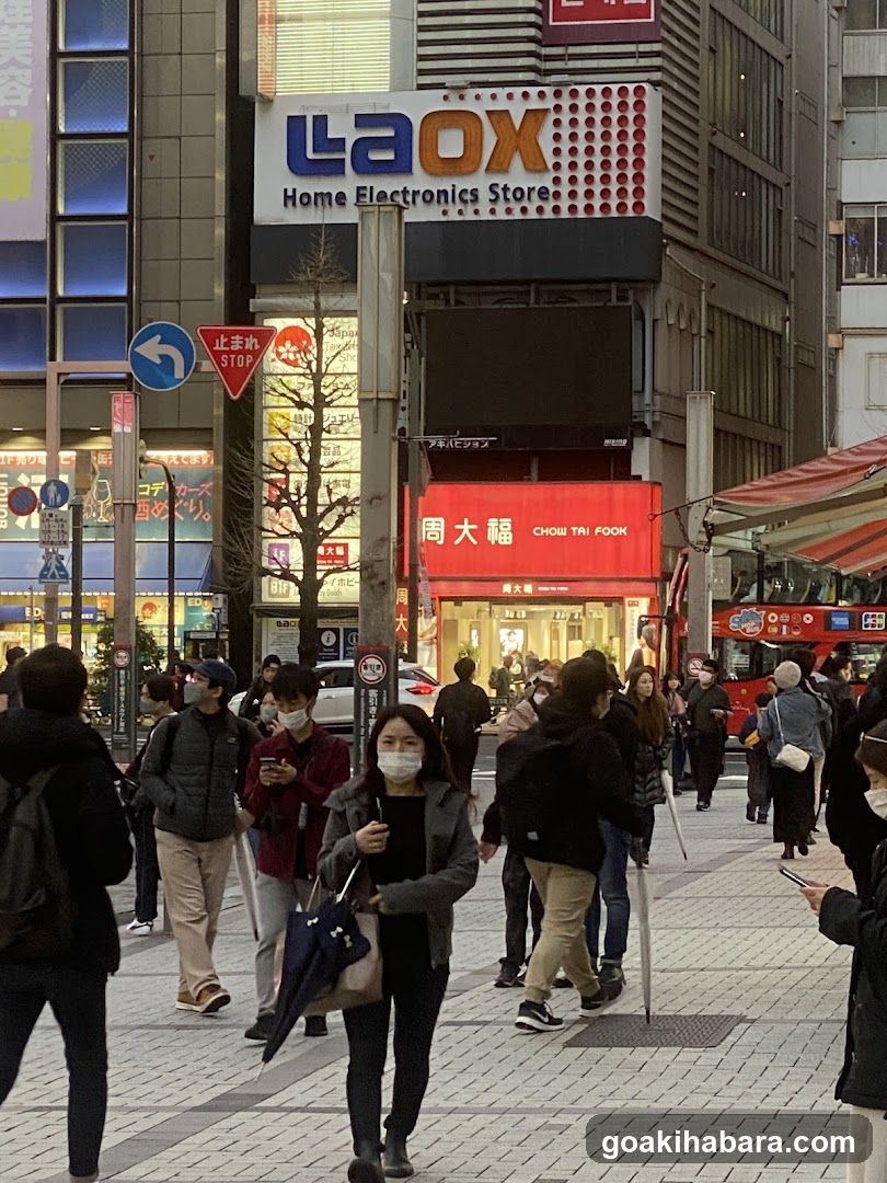 Chow Tai Fook Laox Akihabara