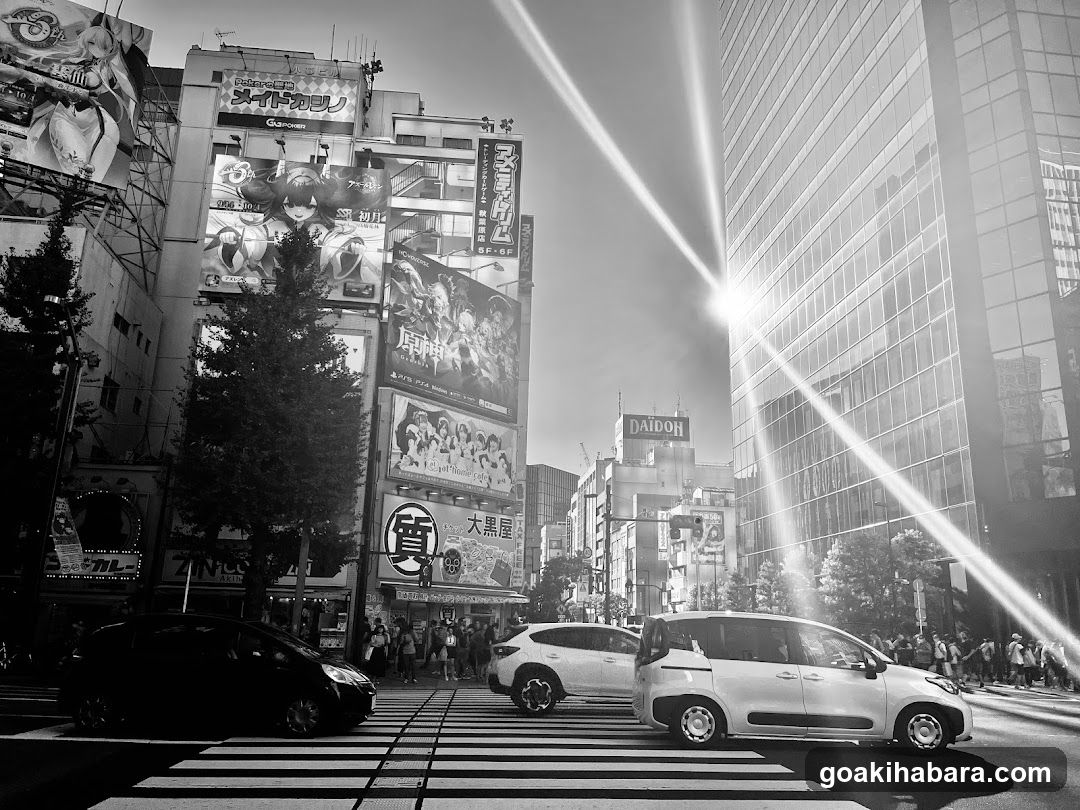 Amenity Dream Akihabara Shop