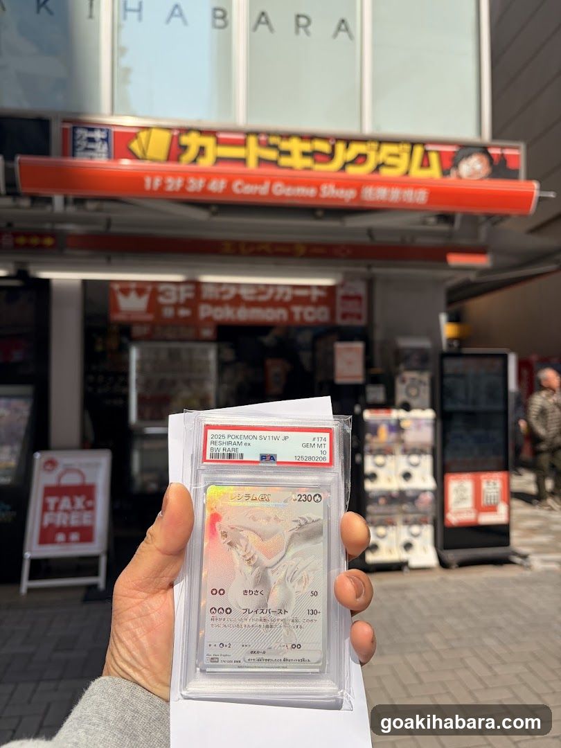 Card Kingdom