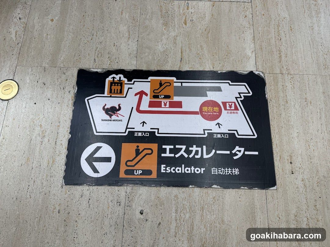 WATCH SQUARE (EDION AKIBA)