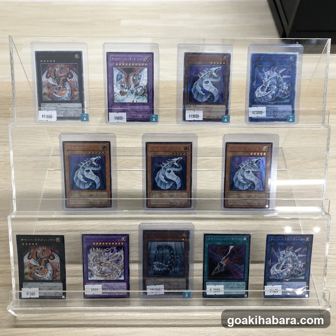 Card Shop Clove Base
