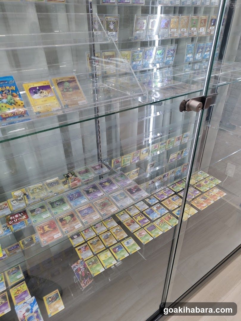 Card Shop Clove Base