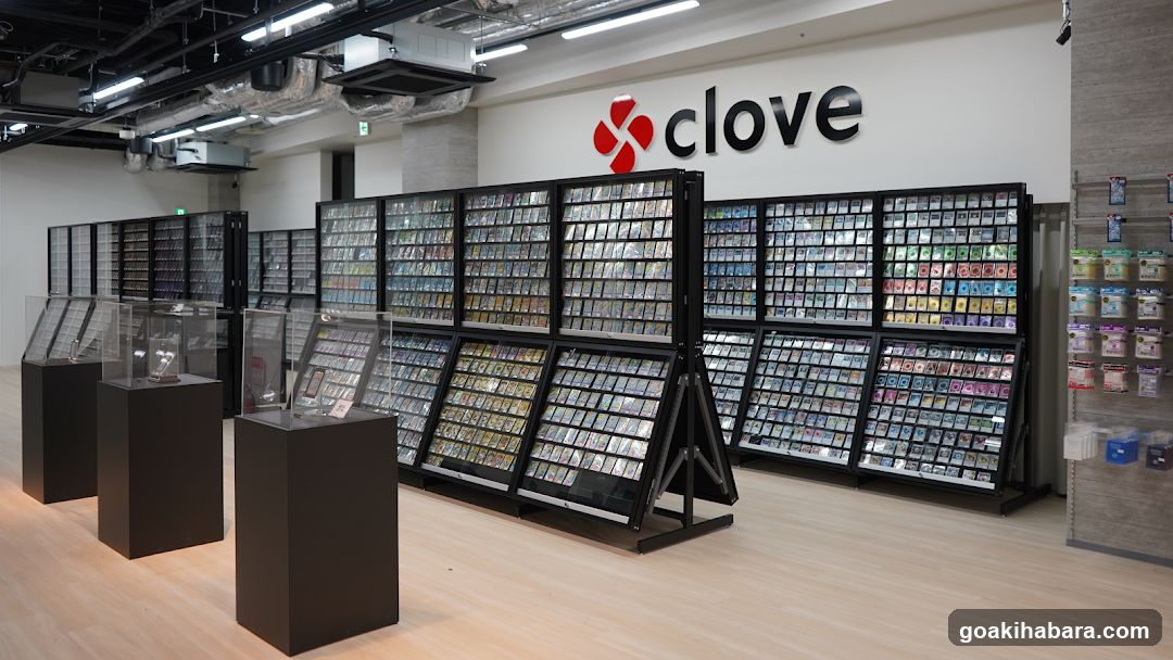 Card Shop Clove Base