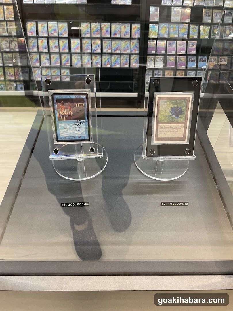 Card Shop Clove Base