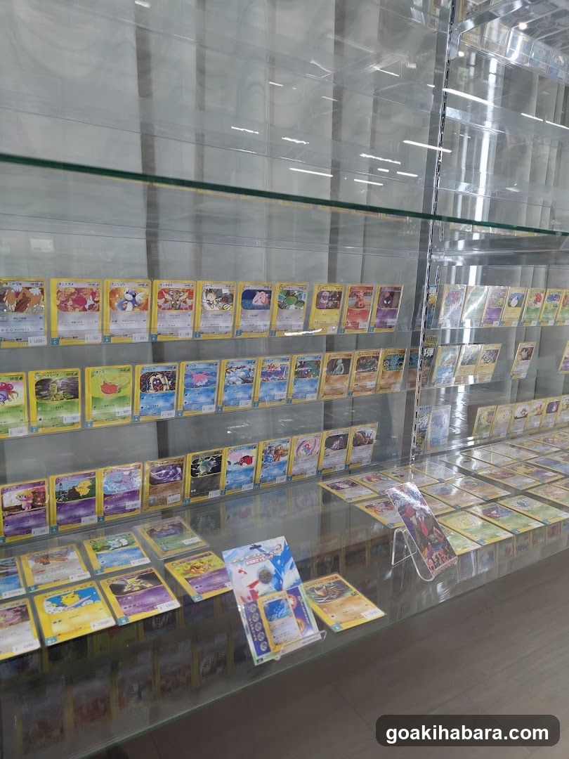 Card Shop Clove Base