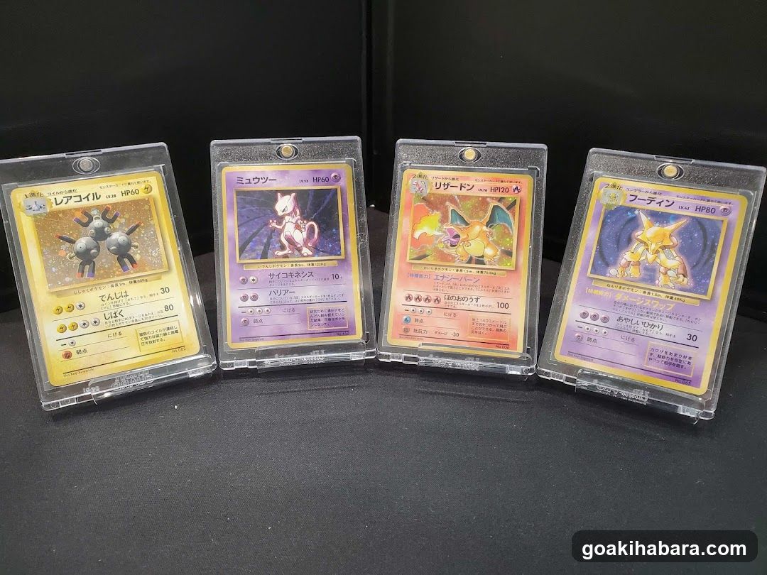Card Shop Clove Base