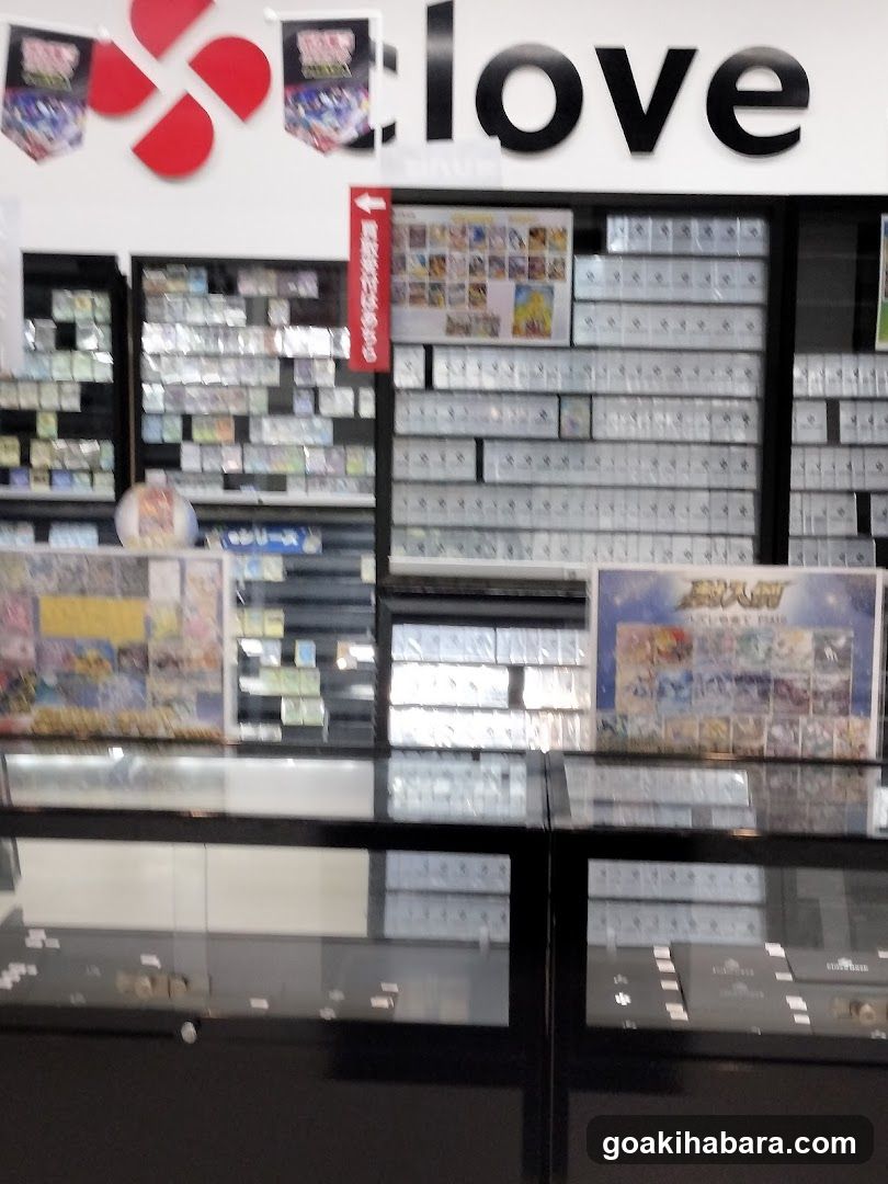 Card Shop Clove Base