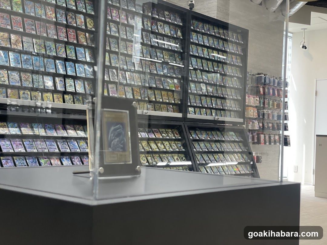 Card Shop Clove Base
