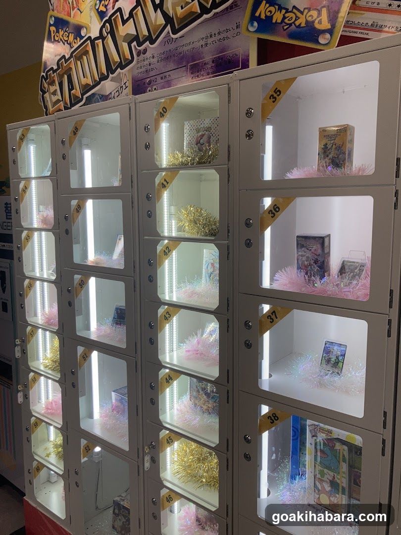 Card Shop Clove Base
