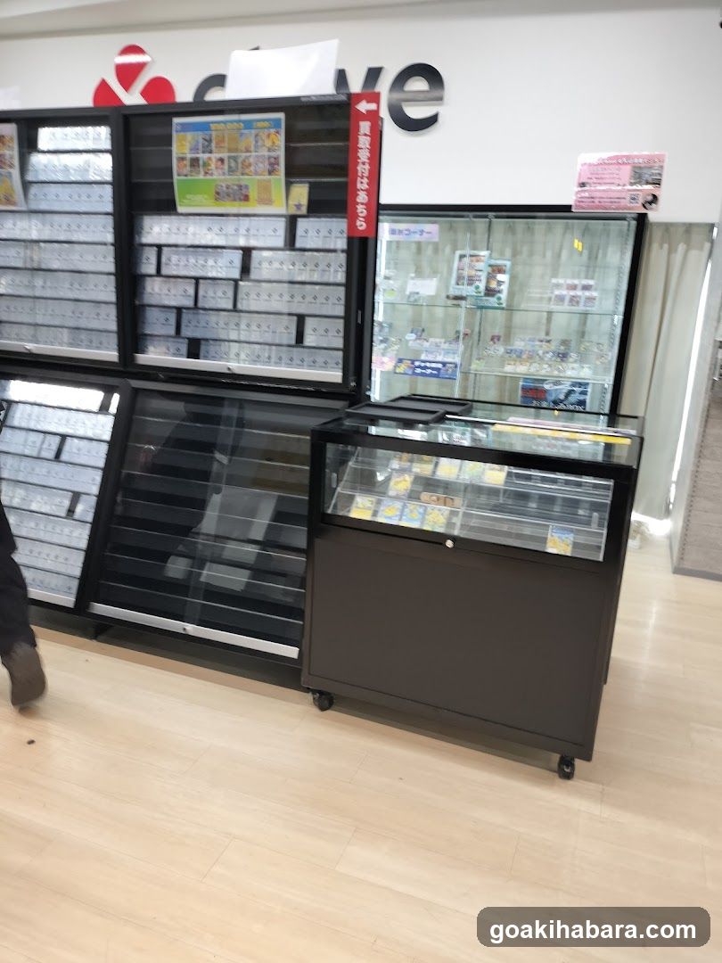 Card Shop Clove Base