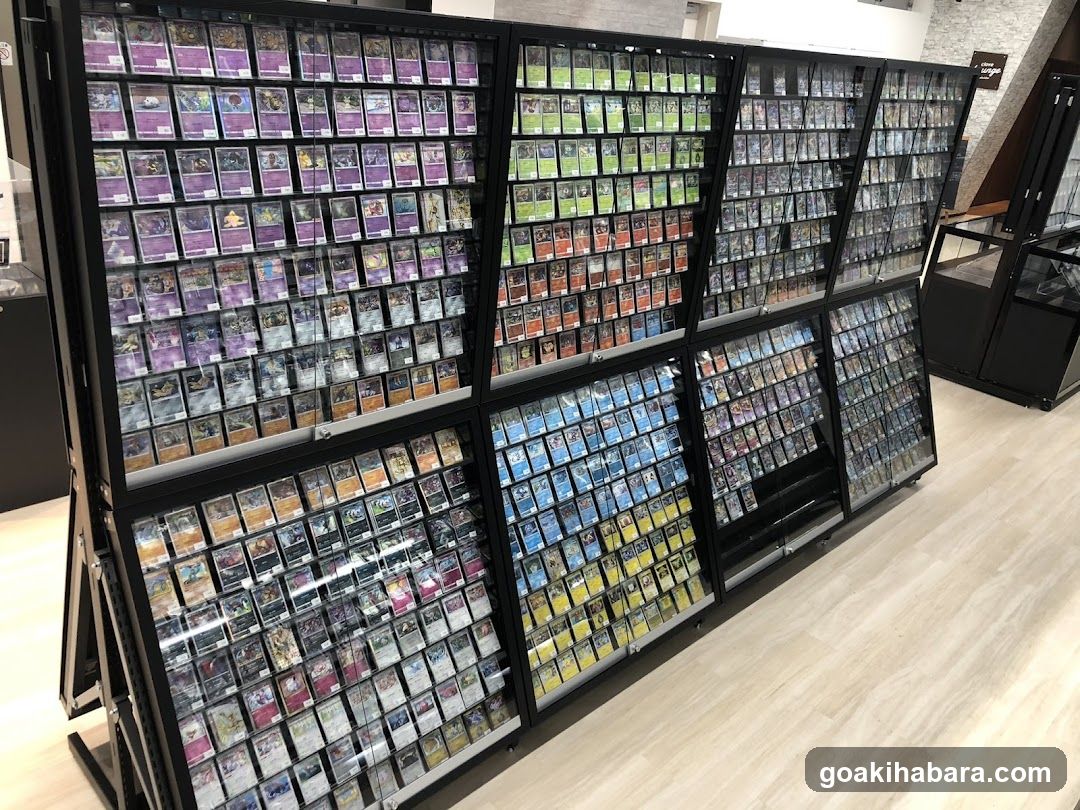 Card Shop Clove Base