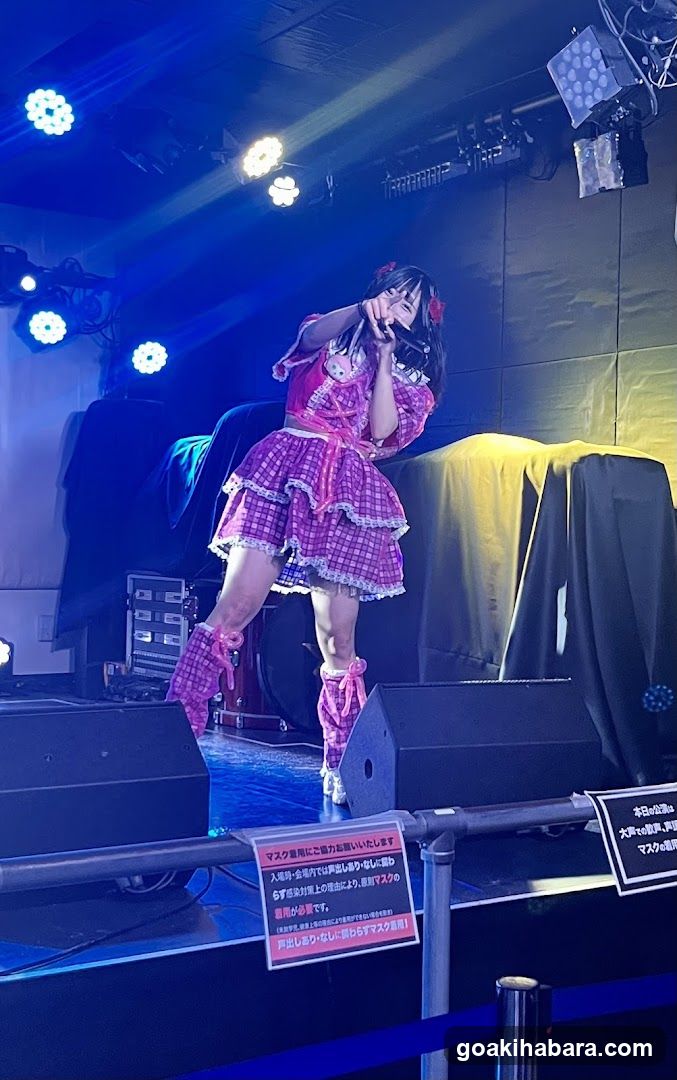 Akihabara ZEST