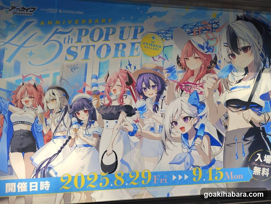 Akiba CO Gallery