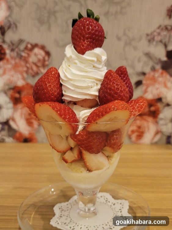Fruits de Saison