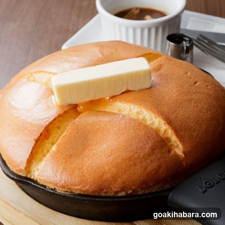 CAFE OASIS 秋葉原店