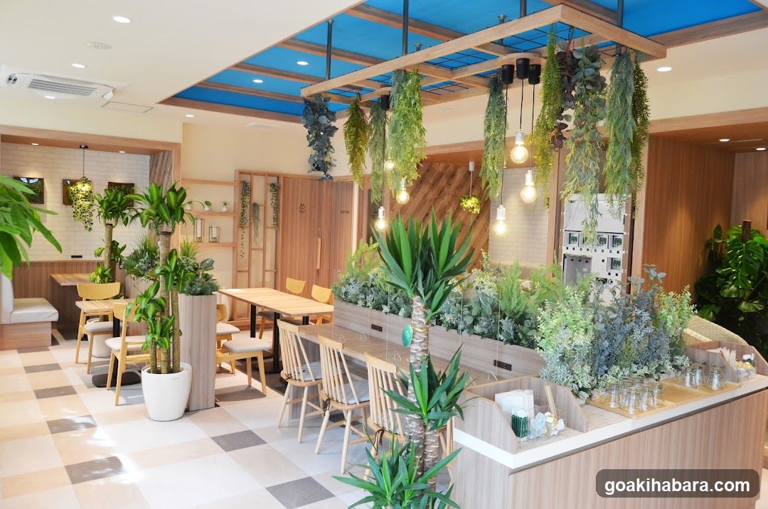 CAFE OASIS 秋葉原店