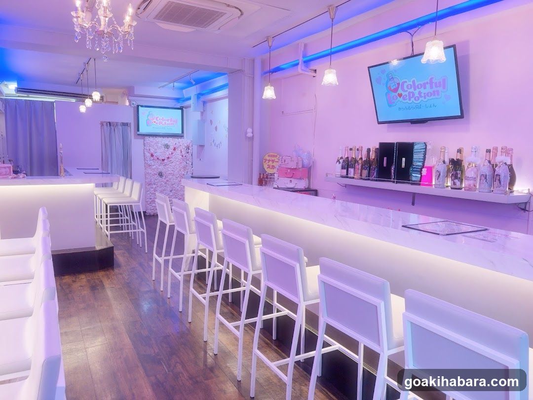 Colorful Lovepotion Akihabara Concept Cafe