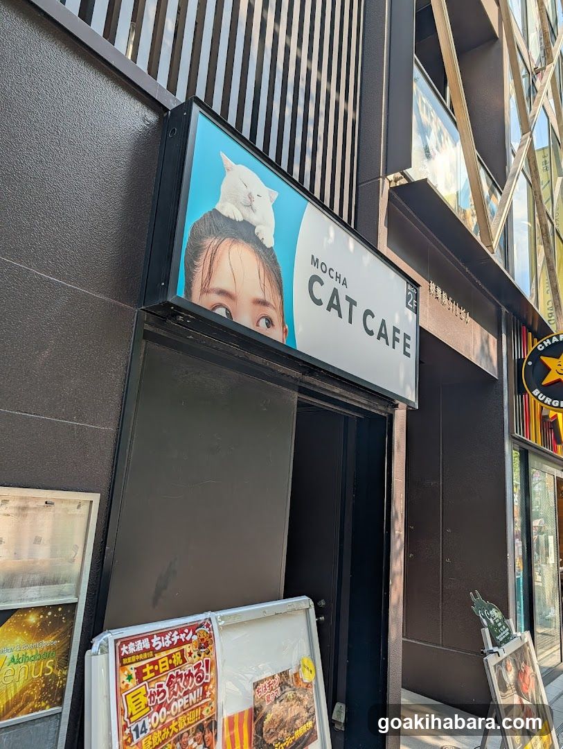Cat Cafe MOCHA Akihabara