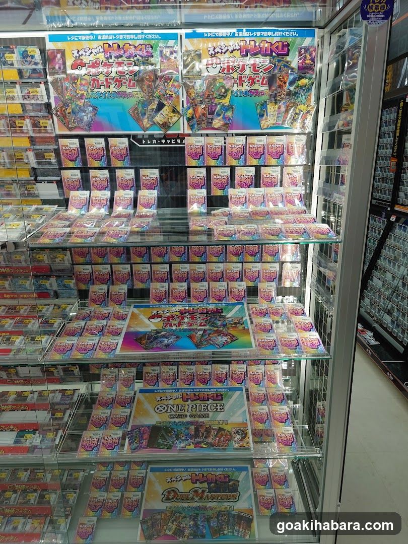 EDION AKIBA NEVERLAND