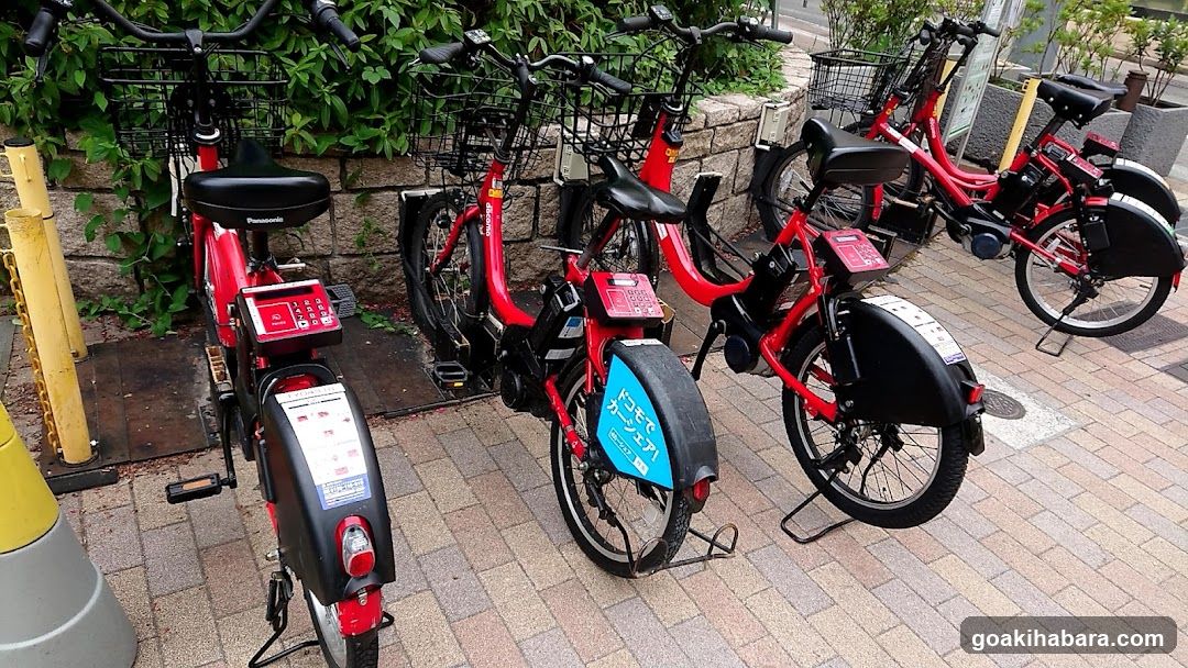Docomo Bike Share