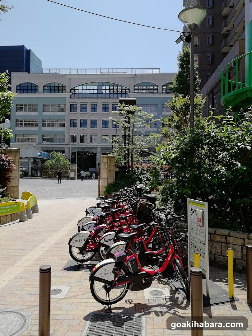 Docomo Bike Share