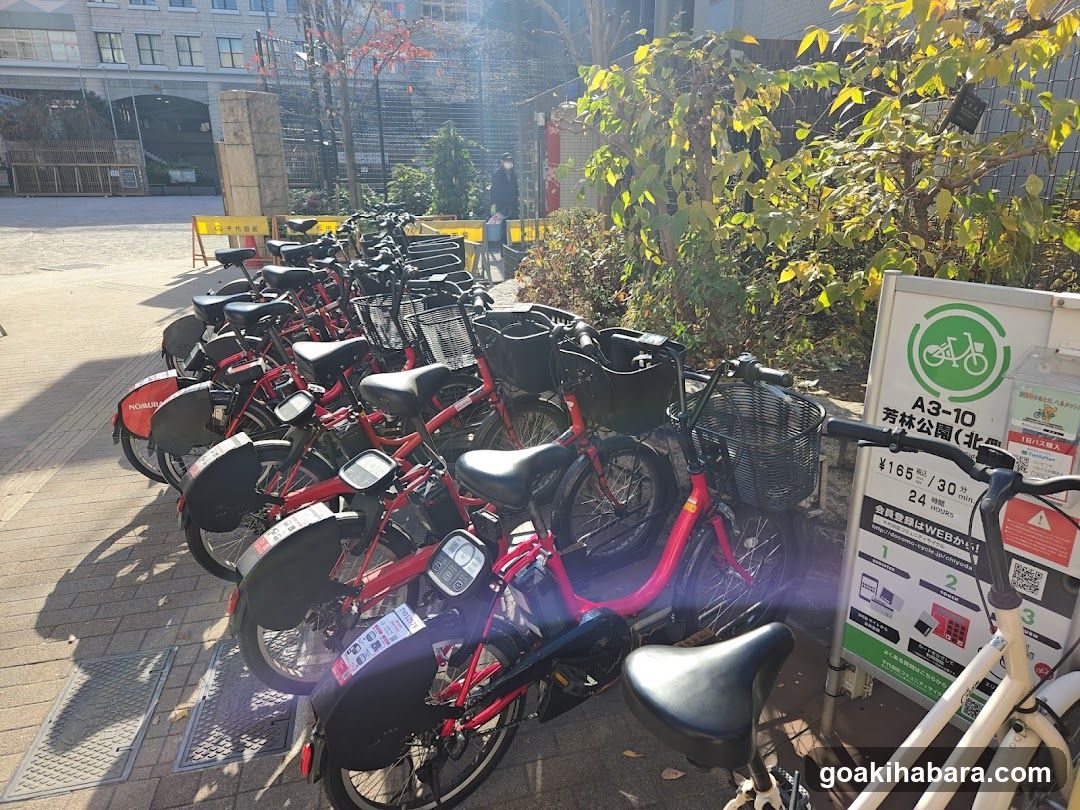 Docomo Bike Share