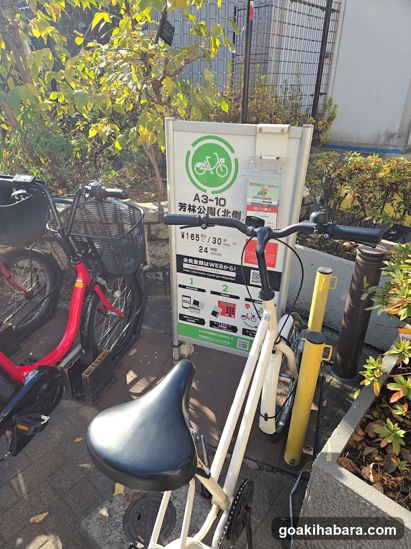 Docomo Bike Share