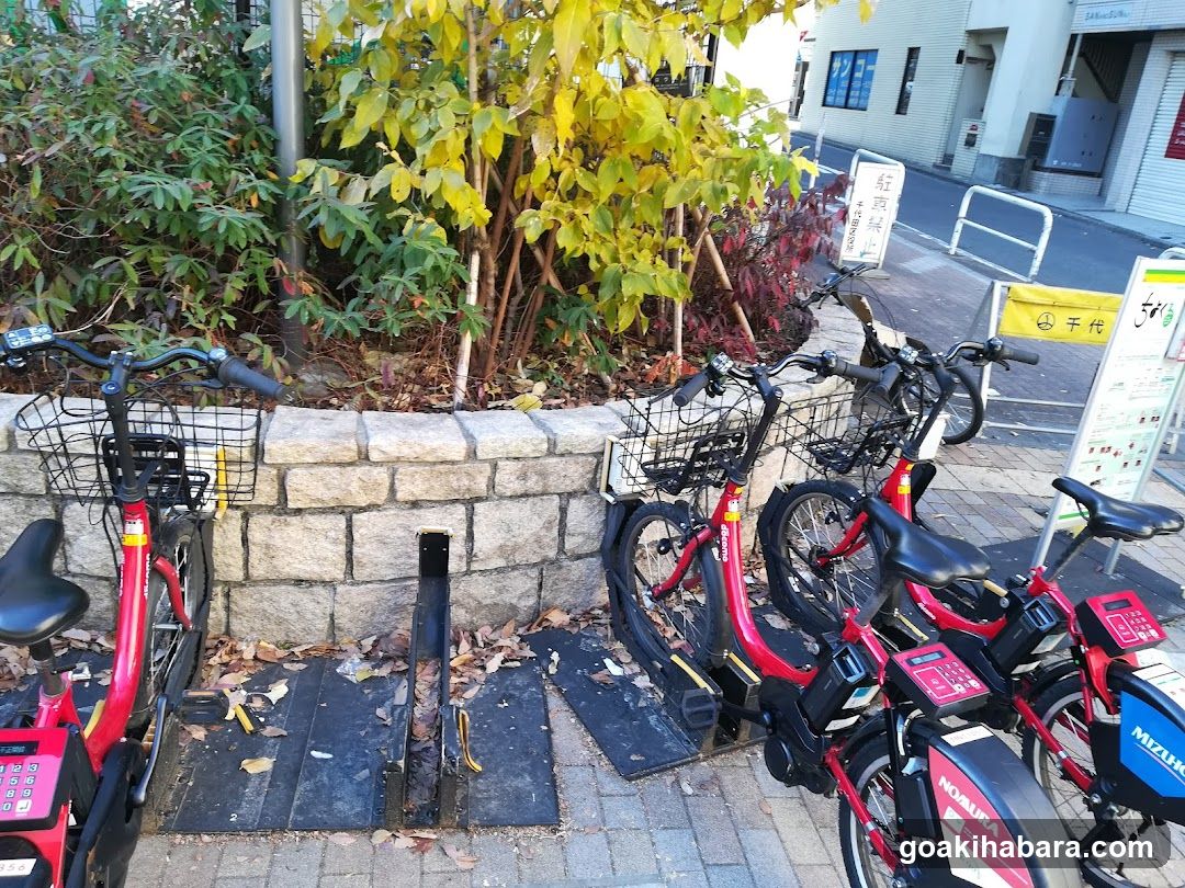 Docomo Bike Share