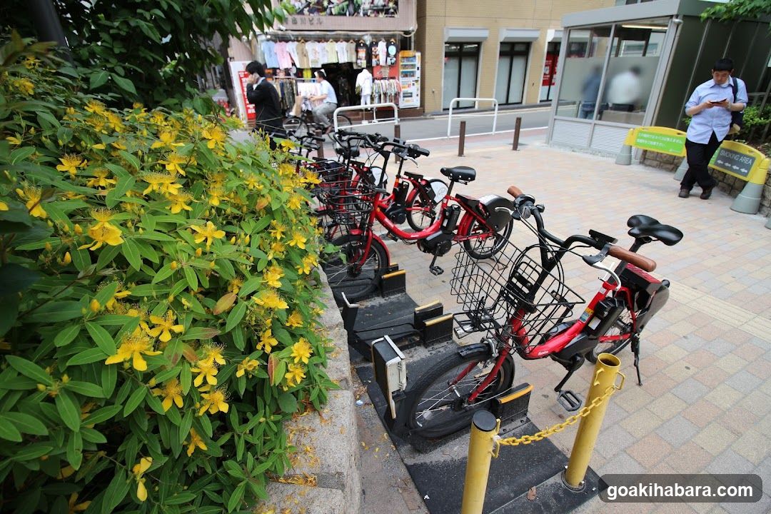 Docomo Bike Share