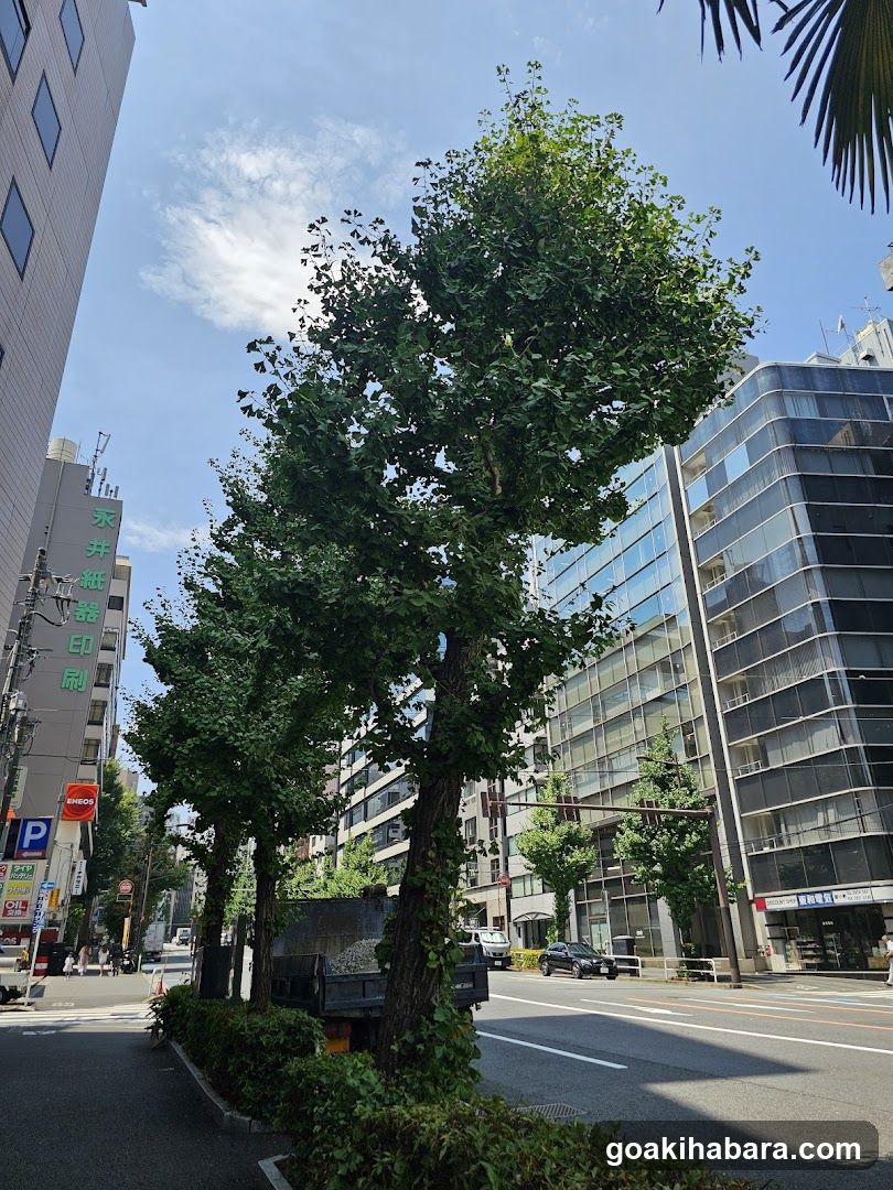 神田明神裏参道