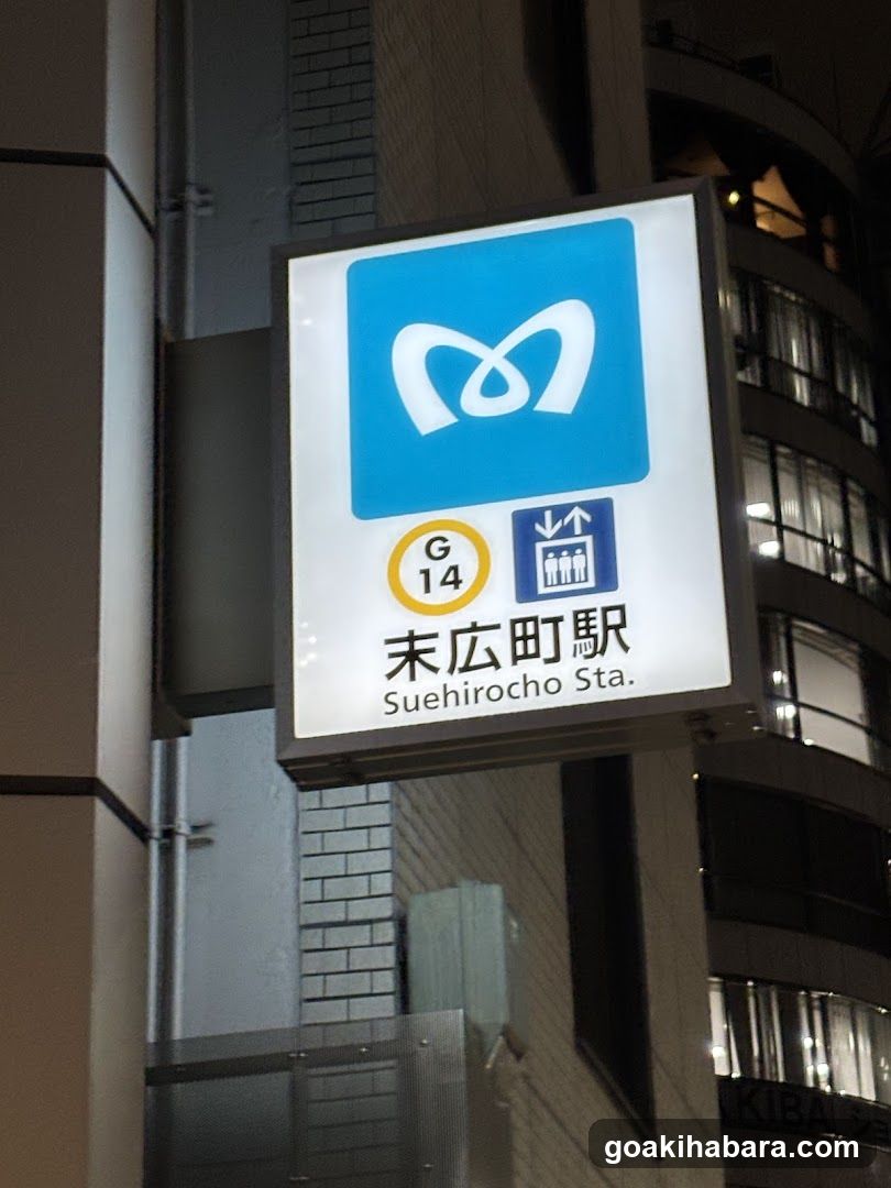 GoGoキックボクシング
