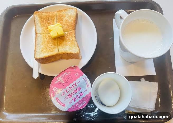 APA Hotel Akihabaraeki Denkigaiguchi