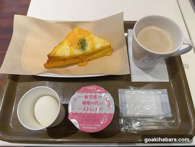 APA Hotel Akihabaraeki Denkigaiguchi