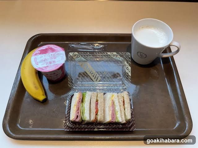 APA Hotel Akihabaraeki Denkigaiguchi