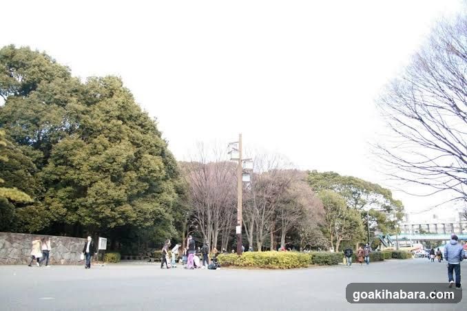 APA Hotel Akihabaraeki Denkigaiguchi