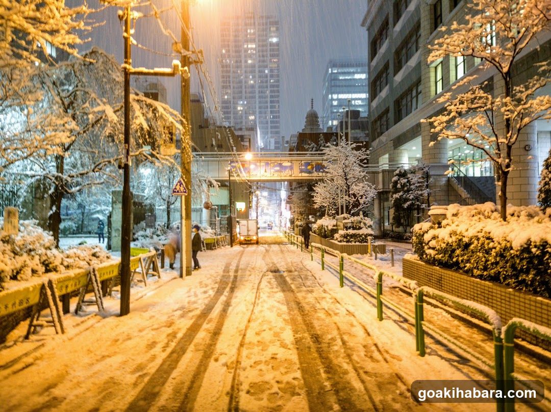 昌平童夢館