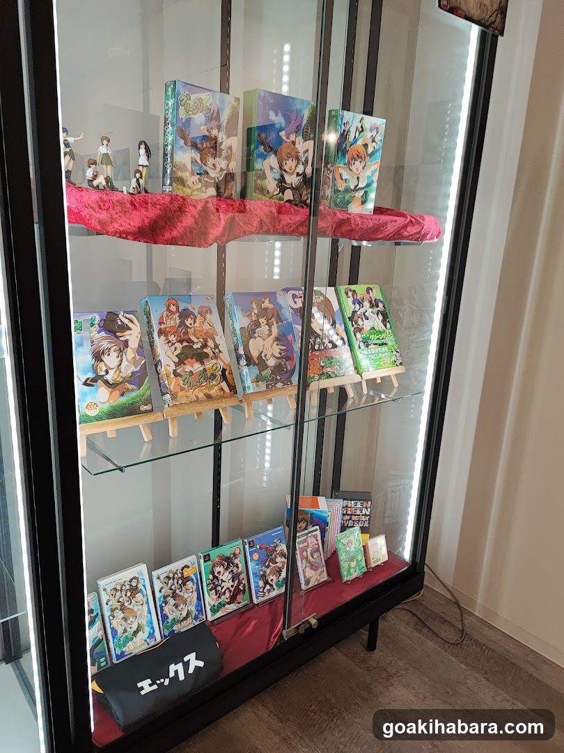 Akiba Night GALLERY by TOYPLA × Melonbooks